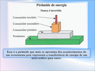 Essa é a pirâmide que mais se aproxima dos acontecimentos de
um ecossistema pois representa a transferência de energia de um
nível trófico para outro.
 