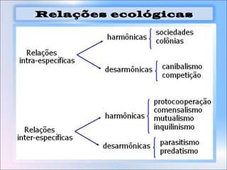 Relações ecológicas
 