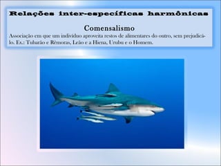 Relações inter-específicas harmônicas
Comensalismo
Associação em que um indivíduo aproveita restos de alimentares do outro, sem prejudicá-
lo. Ex.: Tubarão e Rêmoras, Leão e a Hiena, Urubu e o Homem.
 