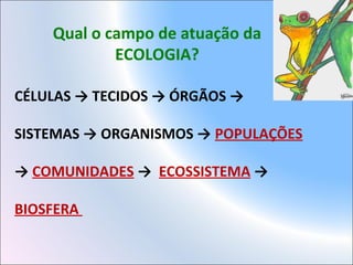 Qual o campo de atuação da
ECOLOGIA?
CÉLULAS → TECIDOS → ÓRGÃOS →
SISTEMAS → ORGANISMOS → POPULAÇÕES
→ COMUNIDADES → ECOSSISTEMA →
BIOSFERA
 