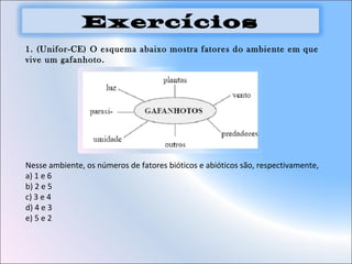 1. (Unifor-CE) O esquema abaixo mostra fatores do ambiente em que
vive um gafanhoto.
Nesse ambiente, os números de fatores bióticos e abióticos são, respectivamente,
a) 1 e 6
b) 2 e 5
c) 3 e 4
d) 4 e 3
e) 5 e 2
Exercícios
 