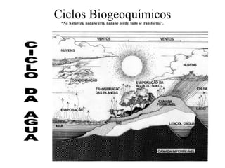 Ciclos Biogeoquímicos
“Na Natureza, nada se cria, nada se perde, tudo se transforma”.
 