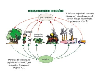A atividade respiratória dos seres
vivos e as combustões em geral,
lançam esse gás na atmosfera,
provocando poluição.
Durante a fotossíntese, os
organismos retiram CO2 do
ambiente e desprendem
oxigênio (O2).
 