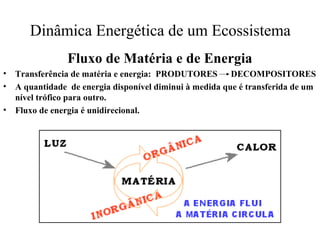Dinâmica Energética de um Ecossistema
Fluxo de Matéria e de Energia
• Transferência de matéria e energia: PRODUTORES DECOMPOSITORES
• A quantidade de energia disponível diminui à medida que é transferida de um
nível trófico para outro.
• Fluxo de energia é unidirecional.
 