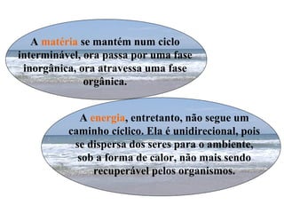 A energia, entretanto, não segue um
caminho cíclico. Ela é unidirecional, pois
se dispersa dos seres para o ambiente,
sob a forma de calor, não mais sendo
recuperável pelos organismos.
A matéria se mantém num ciclo
interminável, ora passa por uma fase
inorgânica, ora atravessa uma fase
orgânica.
 