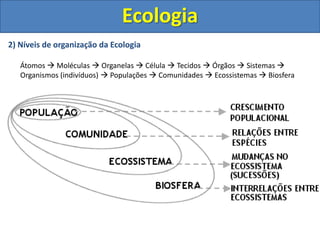 Ecologia
2) Níveis de organização da Ecologia
Átomos  Moléculas  Organelas  Célula  Tecidos  Órgãos  Sistemas 
Organismos (indivíduos)  Populações  Comunidades  Ecossistemas  Biosfera
 