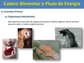 1) Conceitos Prévios
a) Organismos Heterótrofos
São organismos que não são capazes de produzir matéria orgânica. Dessa maneira,
precisam obter a matéria orgânica pronta.
Cadeia Alimentar e Fluxo de Energia
 