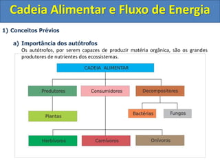 1) Conceitos Prévios
a) Importância dos autótrofos
Os autótrofos, por serem capazes de produzir matéria orgânica, são os grandes
produtores de nutrientes dos ecossistemas.
Cadeia Alimentar e Fluxo de Energia
 