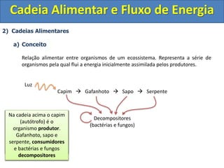 2) Cadeias Alimentares
a) Conceito
Relação alimentar entre organismos de um ecossistema. Representa a série de
organismos pela qual flui a energia inicialmente assimilada pelos produtores.
Luz
Capim  Gafanhoto  Sapo  Serpente
Decompositores
(bactérias e fungos)
Cadeia Alimentar e Fluxo de Energia
Toda cadeia alimentar
possui 3 componentes:
I) Produtores
II) Consumidores
III) Decompositores
Os Produtores
São sempre
representados pelos
organismos autótrofos
(Fotossintetizantes ou
Quimiossintetizantes)
Os consumidores
São sempre heterótrofos
São representados pelos
organismos carnívoros ou
herbívoros de um
ecossitema.
Os decompositores são
também heterótrofos,
porém são os únicos
capazes de converter a
matéria orgânica em
compostos inorgânicos
simples.
Na cadeia acima o capim
(autótrofo) é o
organismo produtor.
Gafanhoto, sapo e
serpente, consumidores
e bactérias e fungos
decompositores
 