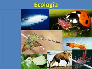 Ecologia
 
