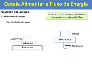 Cadeia Alimentar e Fluxo de Energia
PIRÂMIDES ECOLÓGICAS
b) Pirâmide de biomassa
Pode ser direta ou inversa
Produtores
Herbívoros
Carnívoros
Fitoplâncton
Zooplâncton
Peixes
Expressa a quantidade de substância viva
(“peso seco” em cada nível trófico.
 