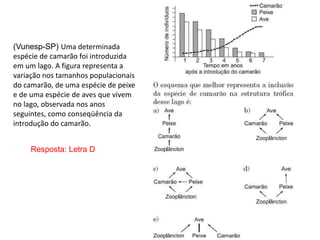 (Vunesp-SP) Uma determinada
espécie de camarão foi introduzida
em um lago. A figura representa a
variação nos tamanhos populacionais
do camarão, de uma espécie de peixe
e de uma espécie de aves que vivem
no lago, observada nos anos
seguintes, como conseqüência da
introdução do camarão.
Resposta: Letra D
 