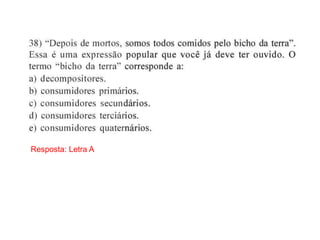 Resposta: Letra A
 