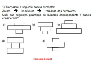 Resposta: Letra B
 