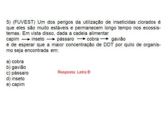 Resposta: Letra B
 