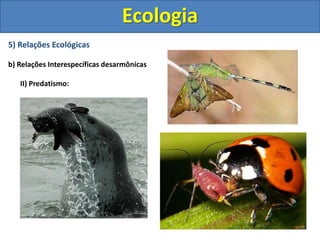 5) Relações Ecológicas
b) Relações Interespecíficas desarmônicas
II) Predatismo:
Ecologia
 