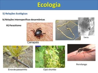 5) Relações Ecológicas
b) Relações Interespecíficas desarmônicas
III) Parasitismo
Ecologia
Erva-de-passarinho Cipó chumbo
Pernilongo
 