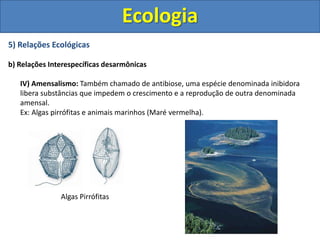 5) Relações Ecológicas
b) Relações Interespecíficas desarmônicas
IV) Amensalismo: Também chamado de antibiose, uma espécie denominada inibidora
libera substâncias que impedem o crescimento e a reprodução de outra denominada
amensal.
Ex: Algas pirrófitas e animais marinhos (Maré vermelha).
Ecologia
Algas Pirrófitas
 