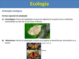 5) Relações Ecológicas
Formas especiais de adaptação
a) Camuflagem: Forma de adaptação na qual um organismo se parece com o ambiente,
confundindo-se com ele na cor e/ou na forma.
b) Mimetismo: Forma de adaptação na qual uma espécie se beneficia por assemelhar-se a
outras
Ecologia
 