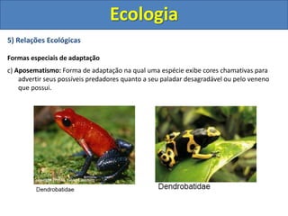 5) Relações Ecológicas
Formas especiais de adaptação
c) Aposematismo: Forma de adaptação na qual uma espécie exibe cores chamativas para
advertir seus possíveis predadores quanto a seu paladar desagradável ou pelo veneno
que possui.
Ecologia
 