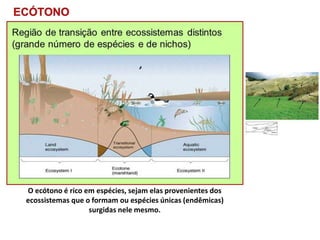 O ecótono é rico em espécies, sejam elas provenientes dos
ecossistemas que o formam ou espécies únicas (endêmicas)
surgidas nele mesmo.
 