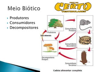    Produtores
   Consumidores
   Decompositores
 