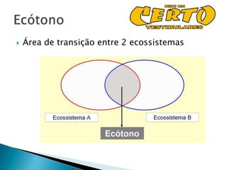    Área de transição entre 2 ecossistemas
 
