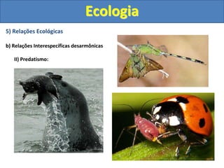 5) Relações Ecológicas
b) Relações Interespecíficas desarmônicas
II) Predatismo:
Ecologia
 