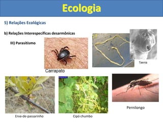 5) Relações Ecológicas
b) Relações Interespecíficas desarmônicas
III) Parasitismo
Ecologia
Erva-de-passarinho Cipó chumbo
Pernilongo
 