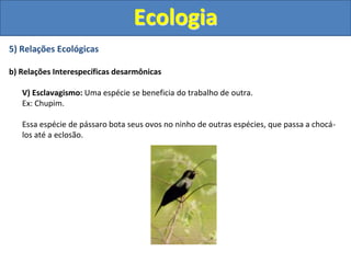 5) Relações Ecológicas
b) Relações Interespecíficas desarmônicas
V) Esclavagismo: Uma espécie se beneficia do trabalho de outra.
Ex: Chupim.
Essa espécie de pássaro bota seus ovos no ninho de outras espécies, que passa a chocá-
los até a eclosão.
Ecologia
 