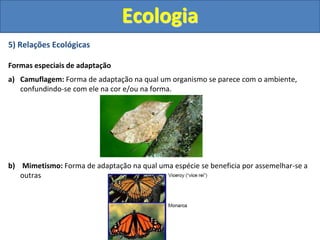 5) Relações Ecológicas
Formas especiais de adaptação
a) Camuflagem: Forma de adaptação na qual um organismo se parece com o ambiente,
confundindo-se com ele na cor e/ou na forma.
b) Mimetismo: Forma de adaptação na qual uma espécie se beneficia por assemelhar-se a
outras
Ecologia
 