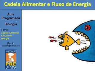 Aula
Programada
Biologia
Tema:
Cadeia Alimentar
e Fluxo de
energia
Paulo
paulobhz@hotmail.com
Cadeia Alimentar e Fluxo de Energia
 
