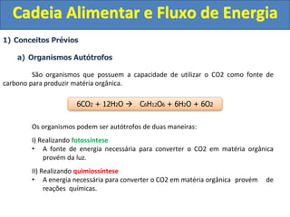 1) Conceitos Prévios
a) Organismos Autótrofos
São organismos que possuem a capacidade de utilizar o CO2 como fonte de
carbono para produzir matéria orgânica.
Os organismos podem ser autótrofos de duas maneiras:
I) Realizando fotossíntese
• A fonte de energia necessária para converter o CO2 em matéria orgânica
provém da luz.
II) Realizando quimiossíntese
• A energia necessária para converter o CO2 em matéria orgânica provém de
reações químicas.
Cadeia Alimentar e Fluxo de Energia
6CO2 + 12H2O  C6H12O6 + 6H2O + 6O2
 