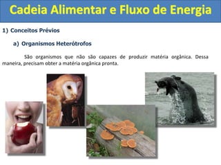 1) Conceitos Prévios
a) Organismos Heterótrofos
São organismos que não são capazes de produzir matéria orgânica. Dessa
maneira, precisam obter a matéria orgânica pronta.
Cadeia Alimentar e Fluxo de Energia
 