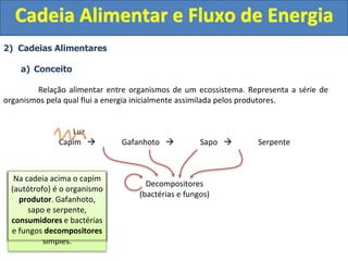 2) Cadeias Alimentares
a) Conceito
Relação alimentar entre organismos de um ecossistema. Representa a série de
organismos pela qual flui a energia inicialmente assimilada pelos produtores.
Luz
Capim  Gafanhoto  Sapo  Serpente
Decompositores
(bactérias e fungos)
Cadeia Alimentar e Fluxo de Energia
Toda cadeia alimentar
possui 3 componentes:
I)Produtores
II)Consumidores
III)Decompositores
Os Produtores
São sempre
representados pelos
organismos autótrofos
(Fotossintetizantes ou
Quimiossintetizantes)
Os consumidores
São sempre heterótrofos
São representados pelos
organismos carnívoros ou
herbívoros de um
ecossitema.
Os decompositores são
também heterótrofos,
porém são os únicos
capazes de converter a
matéria orgânica em
compostos inorgânicos
simples.
Na cadeia acima o capim
(autótrofo) é o organismo
produtor. Gafanhoto,
sapo e serpente,
consumidores e bactérias
e fungos decompositores
 