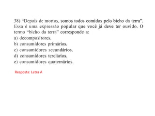 Resposta: Letra A
 