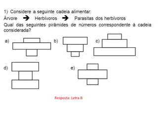 Resposta: Letra B
 