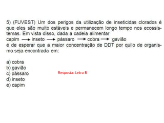 Resposta: Letra B
 