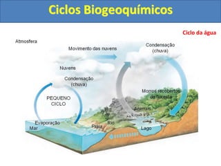 Ciclos Biogeoquímicos
Ciclo da água
 