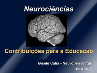 Neurociências

Contribuições para a Educação
Gisele Calia - Neuropsicóloga
SP, 20/01/14

 