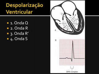    1. Onda Q
   2. Onda R
   3. Onda R’
   4. Onda S
 