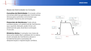 Conceitos de Eletricidade: O coração utiliza
correntes elétricas geradas por movimentos
iônicos para controlar e sincronizar sua
atividade mecânica de contração.
Potenciais de Membrana: Cada célula
cardíaca possui um potencial de membrana
que, quando alterado, pode iniciar um
potencial de ação, levando à contração
muscular.
Dinâmica Iônica: A variação nos níveis de
íons como sódio (Na+), potássio (K+) e cálcio
(Ca2+) através da membrana celular é
fundamental para o processo de
despolarização e repolarização cardíaca.
Conduçãocardiaca
Bases da Eletricidade no Coração
 