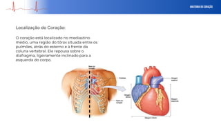 Anatomia do Coração
O coração está localizado no mediastino
médio, uma região do tórax situada entre os
pulmões, atrás do esterno e à frente da
coluna vertebral. Ele repousa sobre o
diafragma, ligeiramente inclinado para a
esquerda do corpo.
Localização do Coração:
 