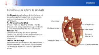 Conduçãocardiaca
Componentes do Sistema de Condução
3
1
2
4
4
Nó Sinusal: Localizado no átrio direito, o nó
sinusal despolariza os átrios, promovendo
sua contração para o enchimento dos
ventrículos.
Nó Atrioventricular (AV)
Situado na base do átrio direito, retarda
brevemente o impulso elétrico, permitindo
o enchimento completo dos ventrículos.
Feixe de His
Conduz o impulso dos átrios para os
ventrículos, assegurando uma transmissão
eficiente e coordenada do sinal de
contração.
Células de Purkinje
Estendem-se pelos ventrículos e espalham o
impulso elétrico rapidamente, garantindo
uma contração ventricular sincronizada e
eficaz.
 