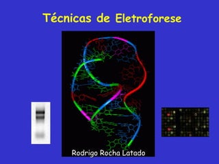 Técnicas de Eletroforese




     Rodrigo Rocha Latado
 