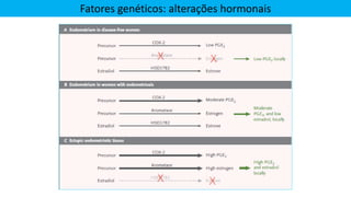 Fatores genéticos: alterações hormonais
 