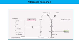 Alterações hormonais
 