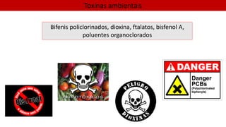 Toxinas ambientais
Bifenis policlorinados, dioxina, ftalatos, bisfenol A,
poluentes organoclorados
 