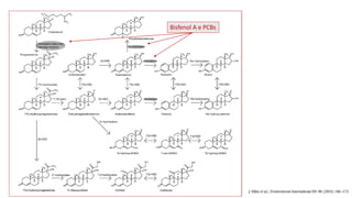 Bisfenol A e PCBs
 