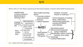 Nrf2
 